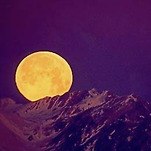 카페 프로필 이미지