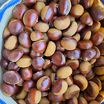 카페 프로필 이미지