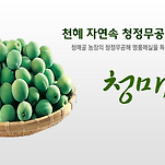 카페 프로필 이미지