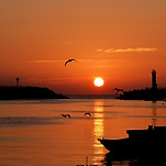 카페 프로필 이미지