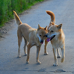 카페 프로필 이미지