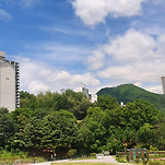 카페 프로필 이미지