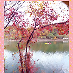 카페 프로필 이미지