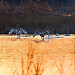 카페 프로필 이미지