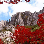 카페 프로필 이미지