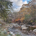 카페 프로필 이미지