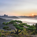 카페 프로필 이미지