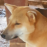 카페 프로필 이미지