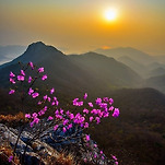 카페 프로필 이미지