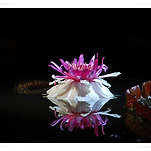 카페 프로필 이미지