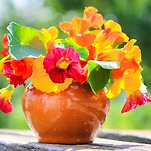 카페 프로필 이미지