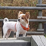 카페 프로필 이미지