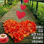 카페 프로필 이미지