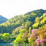 카페 프로필 이미지