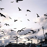 카페 프로필 이미지