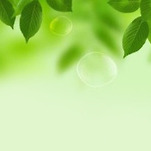 카페 프로필 이미지