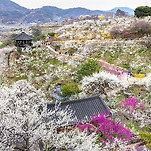 카페 프로필 이미지