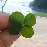 카페 프로필 이미지