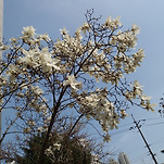 카페 프로필 이미지