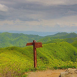 카페 프로필 이미지