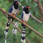 카페 프로필 이미지