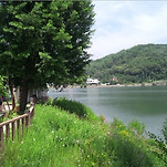 카페 프로필 이미지