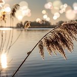 카페 프로필 이미지