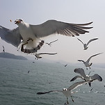 카페 프로필 이미지