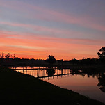 카페 프로필 이미지