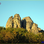 카페 프로필 이미지