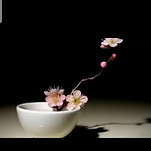 카페 프로필 이미지