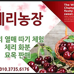 카페 프로필 이미지