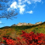 카페 프로필 이미지