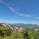 카페 프로필 이미지