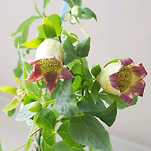 카페 프로필 이미지