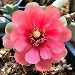 카페 프로필 이미지