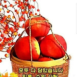 카페 프로필 이미지