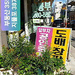카페 프로필 이미지
