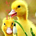 카페 프로필 이미지