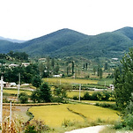 카페 프로필 이미지