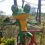 카페 프로필 이미지