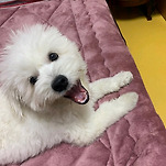 카페 프로필 이미지