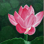 카페 프로필 이미지