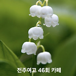 카페 프로필 이미지