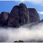 카페 프로필 이미지