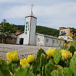 카페 프로필 이미지