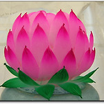 카페 프로필 이미지