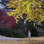 카페 프로필 이미지