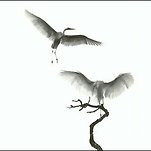 카페 프로필 이미지