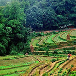 카페 프로필 이미지